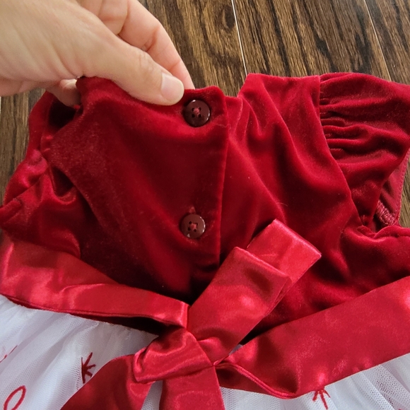 Jona Michelle Toddler Girl Special Occasion Dress Embroidery Red Wine White Sz 2 - Picture 8 of 13